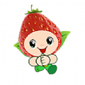 草莓叮咚