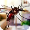 蚊子家庭生活模拟器3D