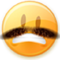 Moustache Me软件