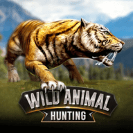 野生动物狩猎2019