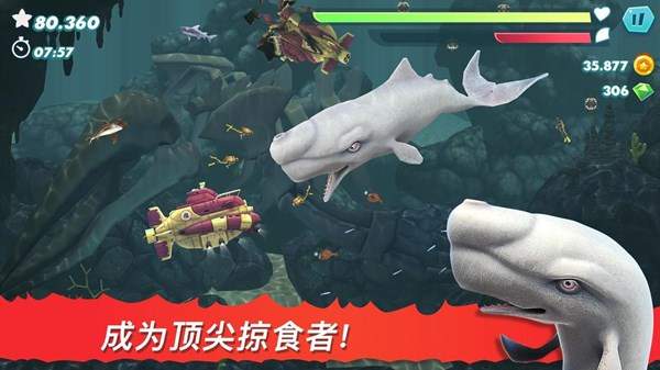 饥饿鲨进化国际服