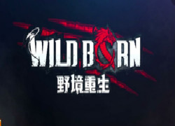 WildBorn野境重生游戏合集