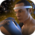 泰拳2格斗冲突游戏安卓版（Muay Thai Fighting Clash）