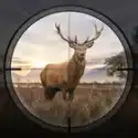 荒野狩猎狙击手3D